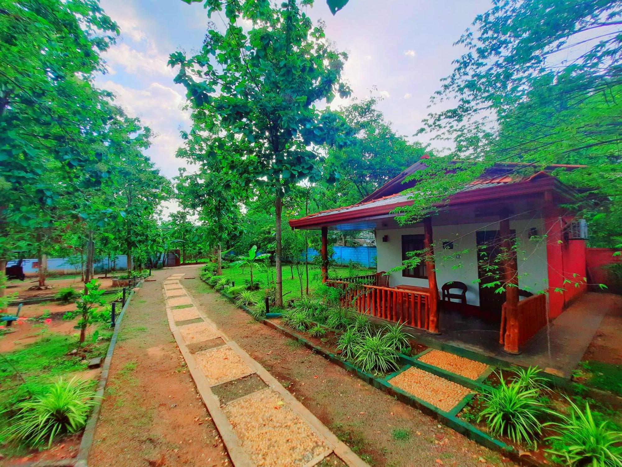 La Casa Safari Resort Udawalawe Bagian luar foto
