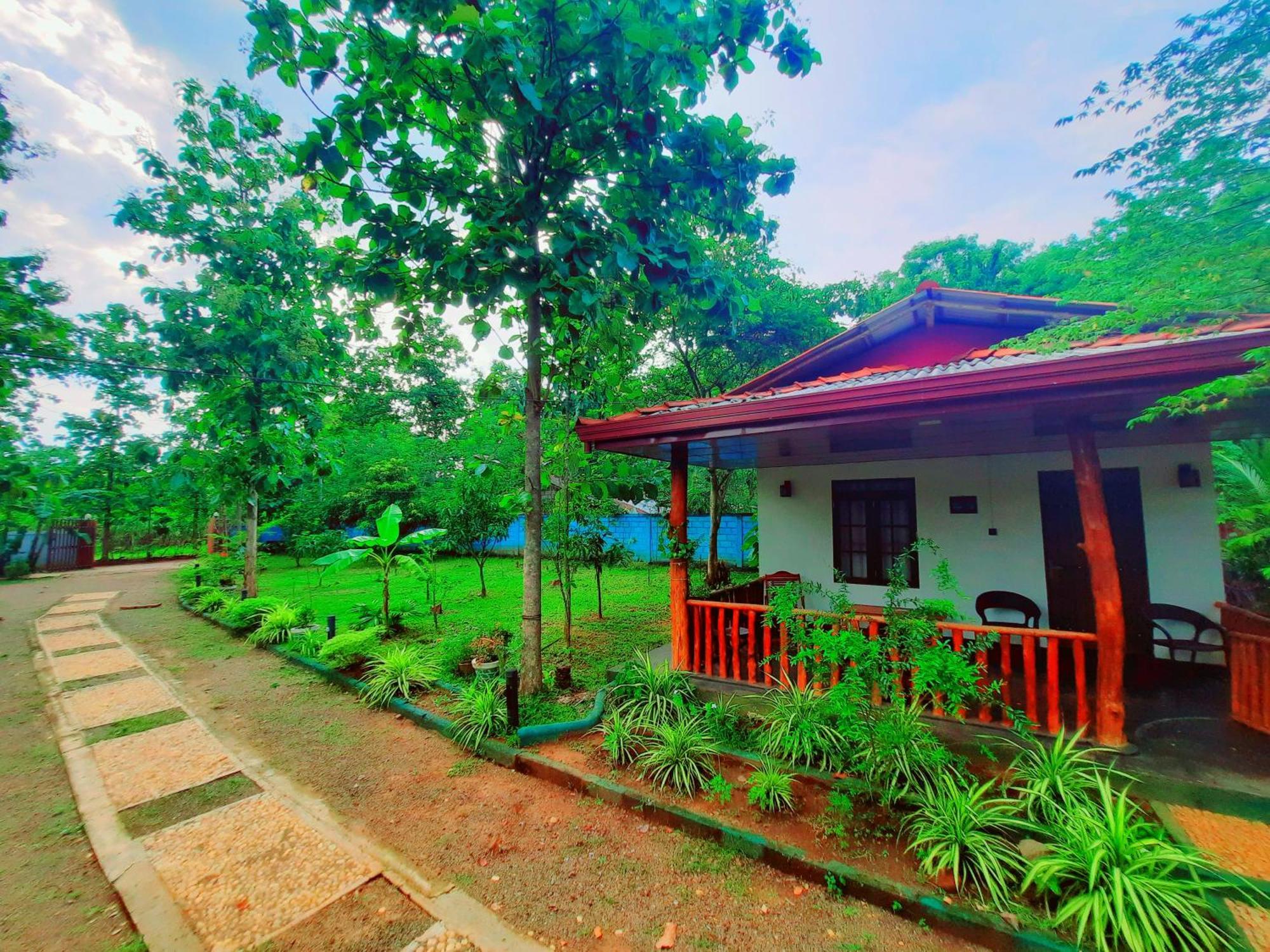 La Casa Safari Resort Udawalawe Bagian luar foto